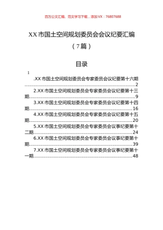 XX市国土空间规划委员会会议纪要汇编（7篇）.docx