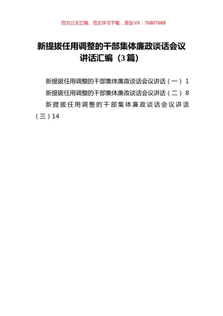 新提拔任用调整的干部集体廉政谈话会议讲话汇编（3篇）.docx