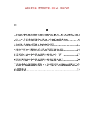 民族工作专题评论文章、心得体会汇编.docx