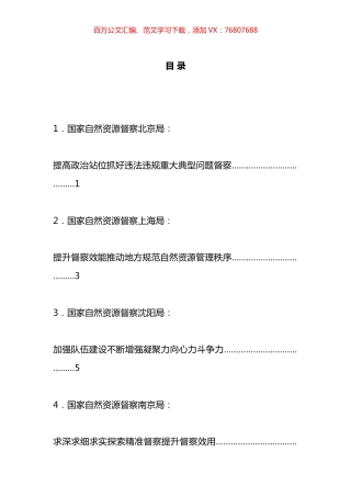 国家自然资源督察工作实践经验交流发言材料汇编（10篇）.docx