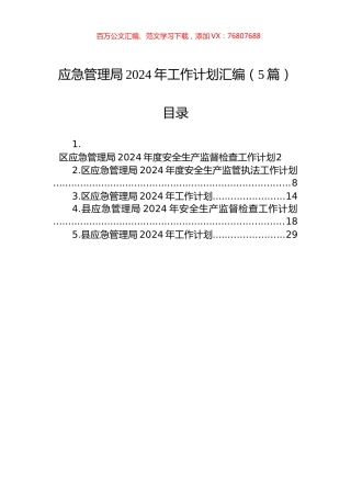 应急管理局2024年工作计划汇编（5篇）.docx