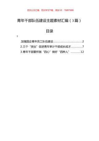 青年干部队伍建设主题素材汇编（3篇）.docx