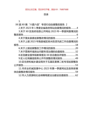2023年关于自查整改情况的报告汇编（12篇） (2).docx