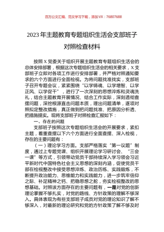 2023年主题教育专题组织生活会支部班子对照检查材料.docx