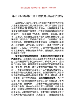 某市2023年第一批主题教育总结评估报告.docx