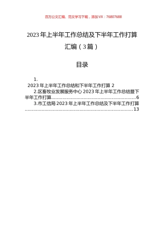 2023年上半年工作总结及下半年工作打算汇编（3篇）.docx