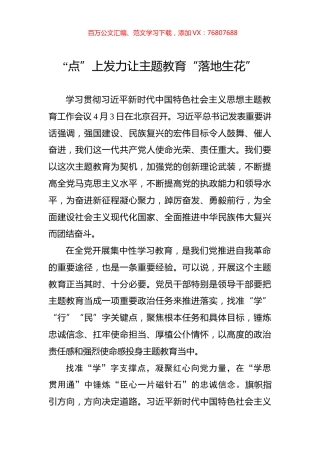 “点”上发力让主题教育“落地生花”.docx