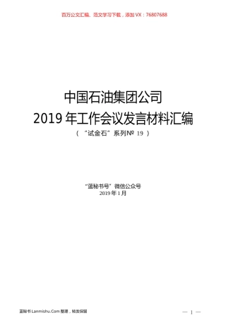 （6篇）中国石油集团公司2019年工作会议发言材料汇编.docx