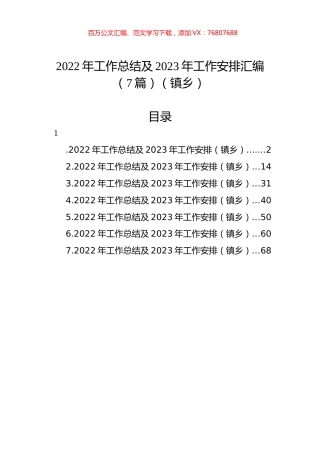 2022年工作总结及2023年工作安排汇编（7篇）（镇乡）.docx