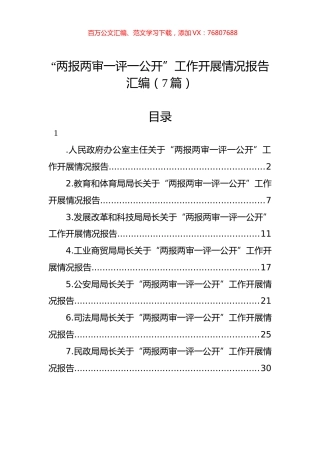 “两报两审一评一公开”工作开展情况报告汇编（7篇）.docx