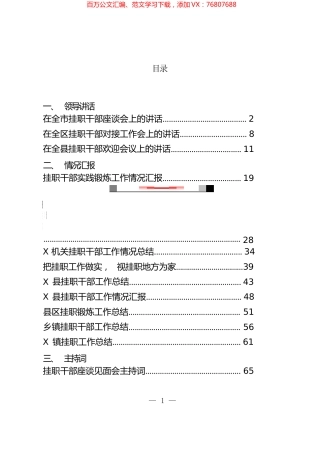 挂职干部会议讲话、工作总结和心得体会等汇编（13篇）.docx