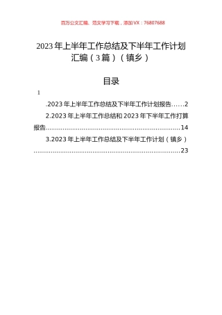 2023年上半年工作总结及下半年工作计划汇编（3篇）（镇乡）.docx