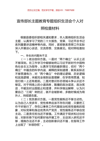 宣传部长主题教育专题组织生活会个人对照检查材料.docx