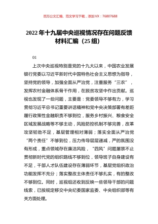 2022年中央巡视情况存在问题反馈材料汇编（25组）.docx