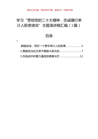 忠诚履行审计人职责使命主题演讲稿汇编（3篇）.docx