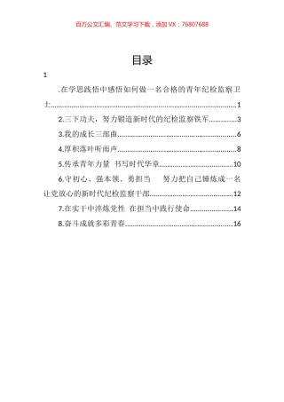 2022年怀化市纪委监委优秀青年干部座谈会发言汇编.docx