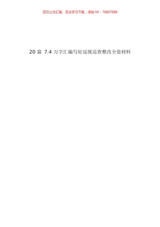 （20篇7.4 万字）巡视巡查整改全套材料.docx