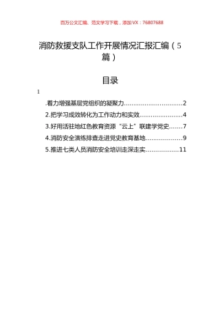 消防救援支队工作开展情况汇报汇编（5篇）.docx