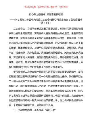 学习贯彻二十届中纪委二次全会精神研讨发言汇编.docx