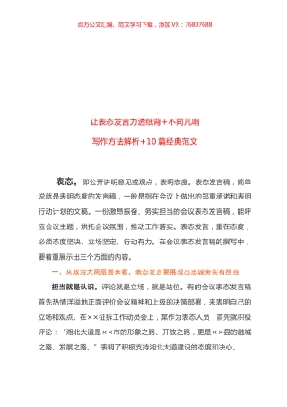 10篇在讨论政府工作时的表态发言.docx