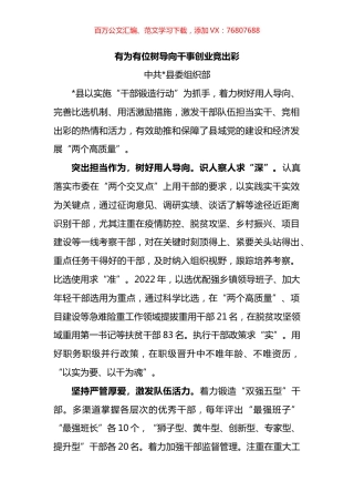 组织部长会议上的精彩交流发言汇编.docx