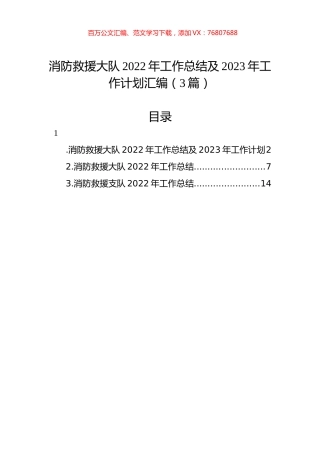 消防救援大队2022年工作总结及2023年工作计划汇编（3篇）.docx