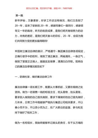 班子廉洁自律报告材料汇编（22篇）.docx