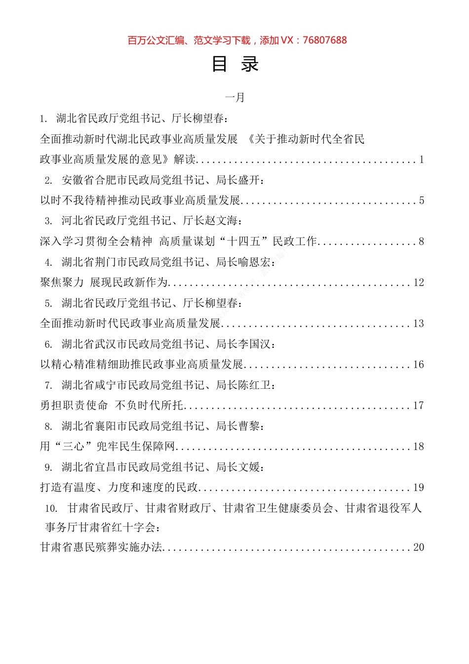 民政局长讲话2021年专辑.docx_第1页