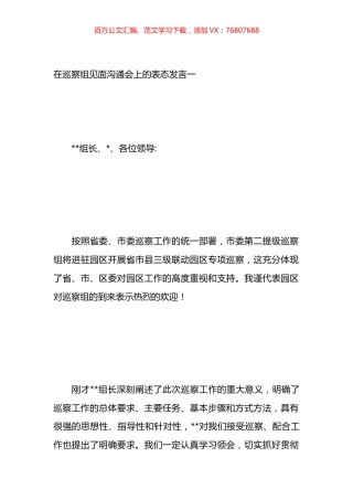 在巡察组见面沟通会上的表态发言汇编.docx