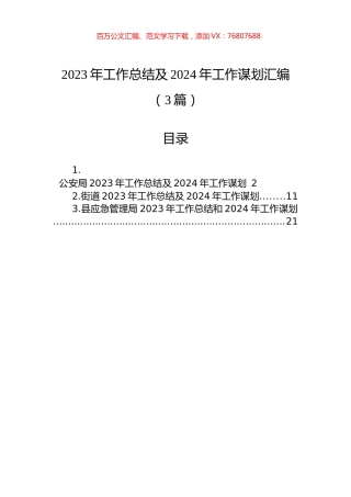 2023年工作总结及2024年工作谋划汇编（3篇）.docx