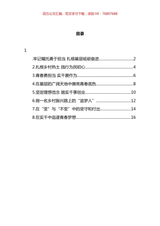 宁德市年轻干部座谈会发言汇编.docx