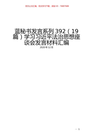 （19篇）学习习近平法治思想座谈会发言材料汇编 (2).docx