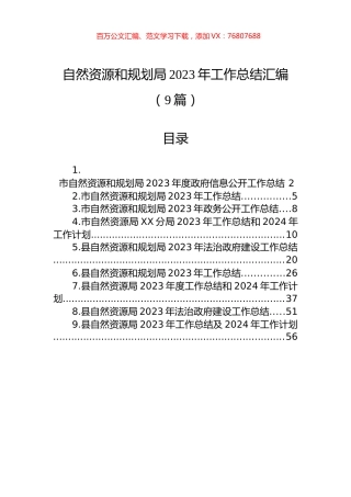 自然资源和规划局2023年工作总结汇编（9篇）.docx