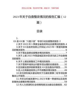 2023年关于自查整改情况的报告汇编（12篇）.docx
