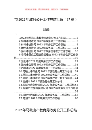 市2022年政务公开工作总结汇编（17篇）.docx