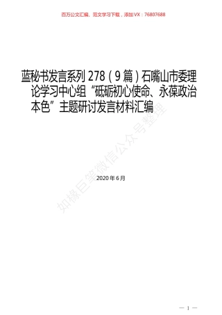 （9篇）石嘴山市委理论学习中心组“砥砺初心使命、永葆政治本色”主题研讨发言材料汇编.docx