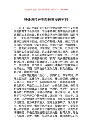 县处级领导主题教育发言材料.docx