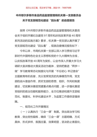 党支部规范化建设回头看自查材料5篇.docx