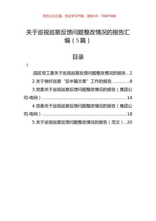 关于巡视巡察反馈问题整改情况的报告汇编（5篇）.docx