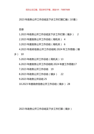 2023年政务公开工作总结及下步工作打算汇编（10篇）.docx