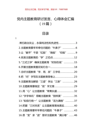 党内主题教育研讨发言、心得体会汇编（19篇）.docx