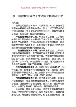 在主题教育专题民主生活会上的点评讲话.docx