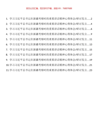 学习习近平总书记在新疆考察时的重要讲话精神心得体会研讨发言汇编（11篇）.docx