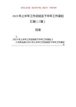 2023年上半年工作总结及下半年工作谋划汇编（2篇）.docx