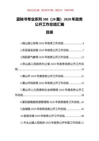 （20篇）2020年政务公开工作总结汇编.docx