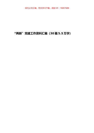 “两新”党建工作资料汇编（30篇5.5万字）.docx