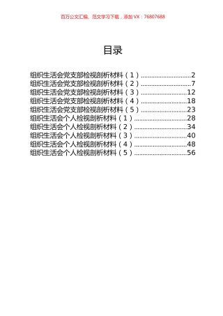 10篇3.1万字党支部组织生活会支部剖析和个人对照检查材料汇编.docx