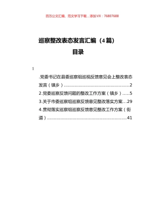 巡察整改表态发言汇编（4篇）.docx