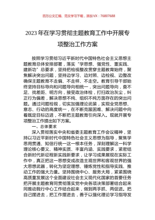 2023年在学习贯彻主题教育工作中开展专项整治工作方案.docx