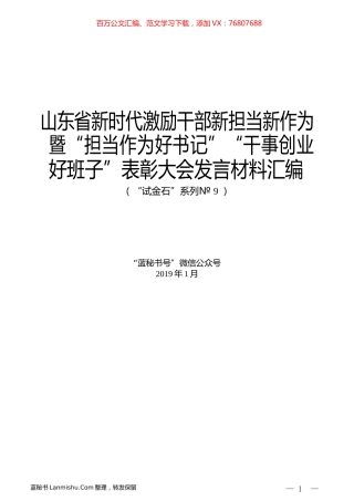 （7篇）山东省新时代激励干部新担当新作为暨“担当作为好书记”“干事创业好班子”表彰大会发言材料汇编.docx
